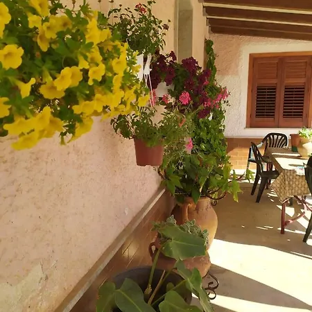 Camera Cicas - Castelluzzo *